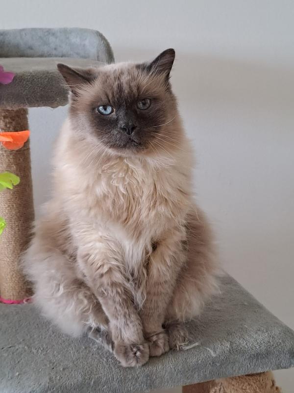 Shahorik uploaded   1 year/s ago