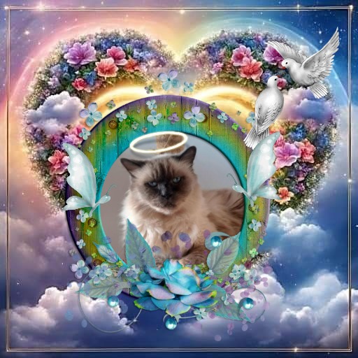 Angelo of the Shahorik family