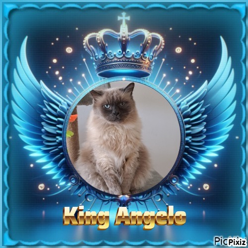 Angelo of the Shahorik family