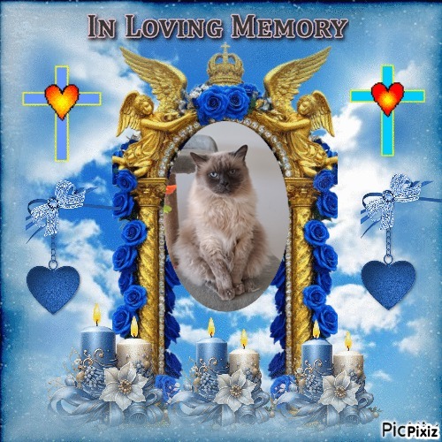 Angelo of the Shahorik family