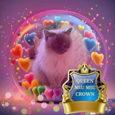 Angelo of the Shahorik family