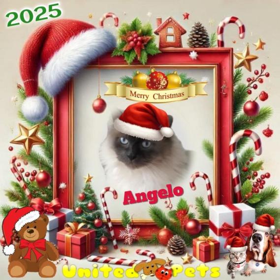 Angelo of the Shahorik family