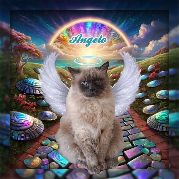 Angelo of the Shahorik family