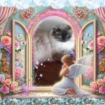 Angelo of the Shahorik family