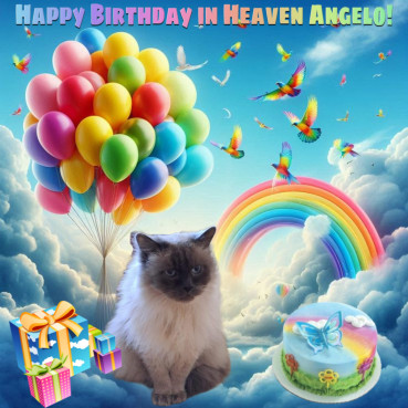 Shahorik uploaded   86  day/s  ago