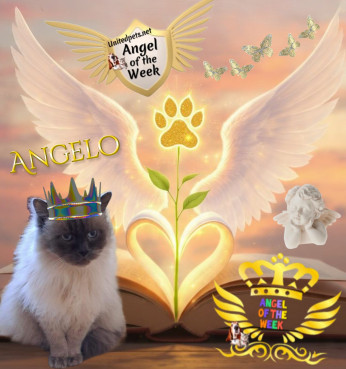 Angelo of the Shahorik family