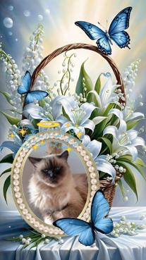 Angelo of the Shahorik family