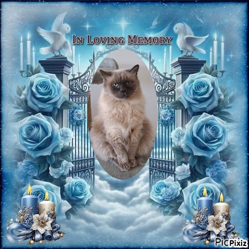 Angelo of the Shahorik family