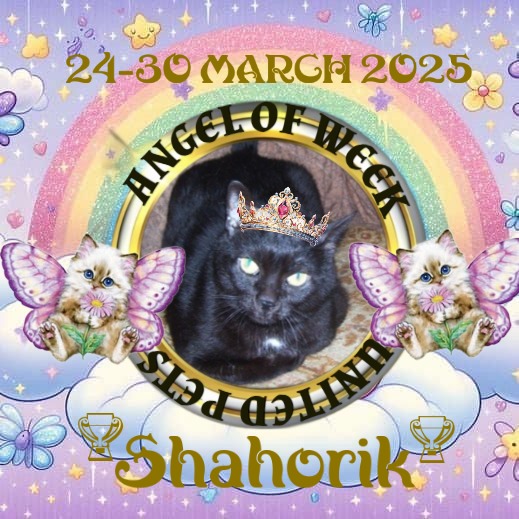 Shahorik uploaded   1 year/s ago