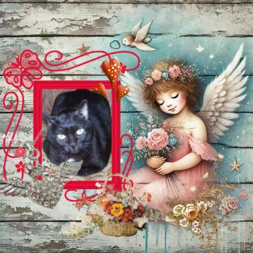 Shahorik of the Shahorik family