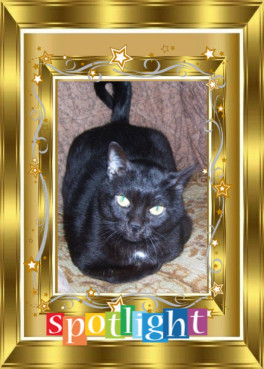 Shahorik of the Shahorik family