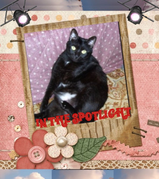 Shahorik of the Shahorik family