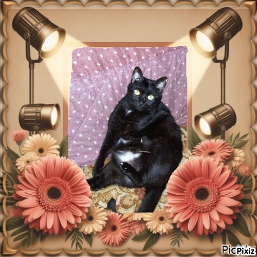 Shahorik of the Shahorik family