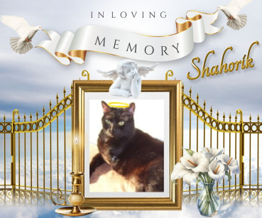 Shahorik of the Shahorik family