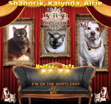 Shahorik of the Shahorik family