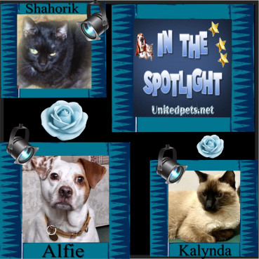 Shahorik of the Shahorik family