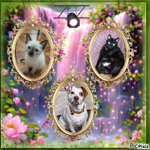 Shahorik of the Shahorik family