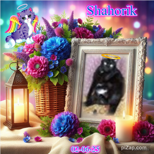 Shahorik of the Shahorik family