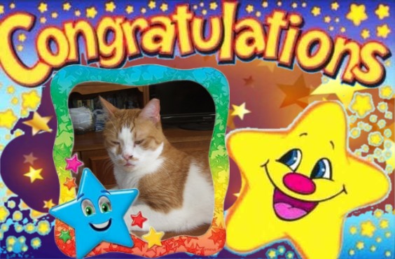 Rizhik of the Shahorik family