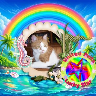 Rizhik of the Shahorik family