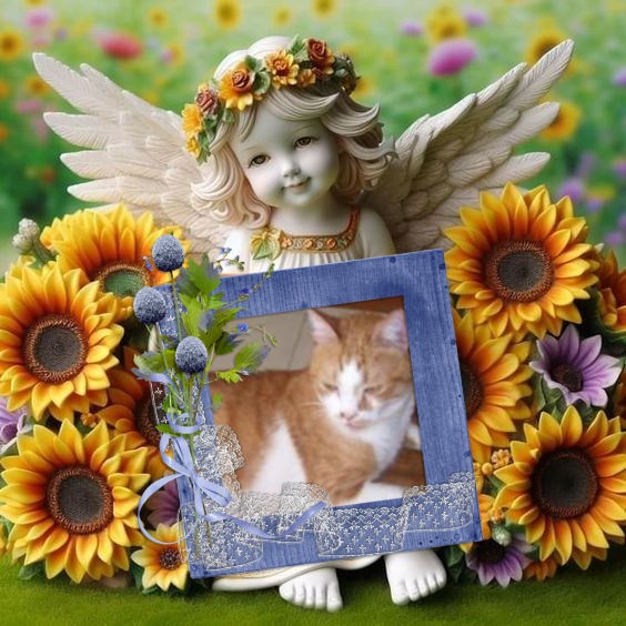 Rizhik of the Shahorik family