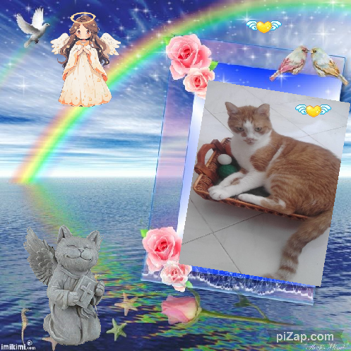 Rizhik of the Shahorik family