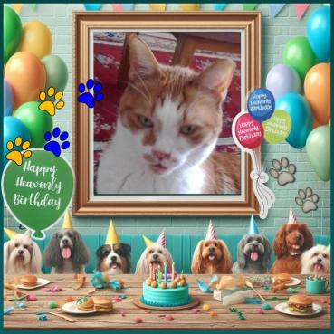 Rizhik of the Shahorik family