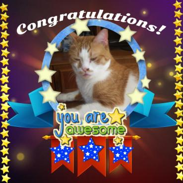 Rizhik of the Shahorik family