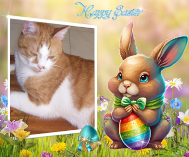 Rizhik of the Shahorik family