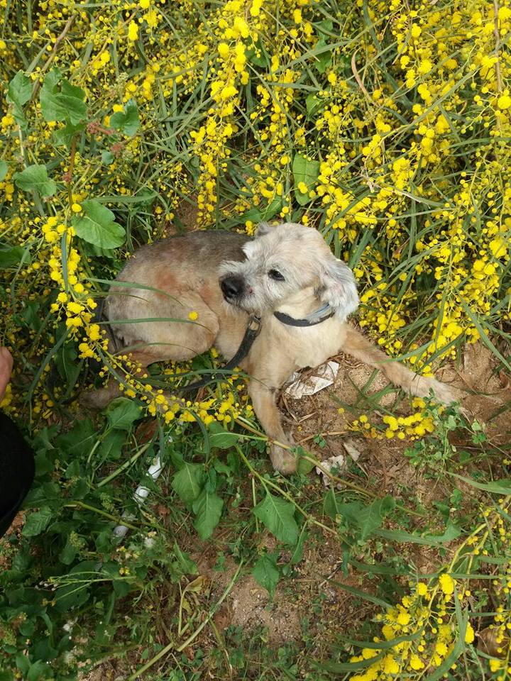 Shahorik uploaded   8 year/s ago