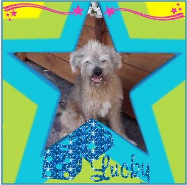 Freddy of the Shahorik family