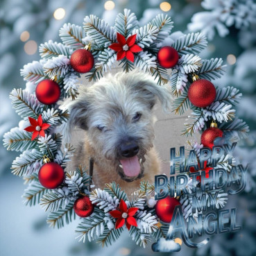 Freddy of the Shahorik family