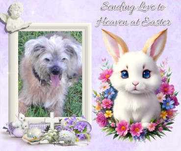 Freddy of the Shahorik family