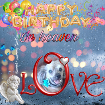 Freddy of the Shahorik family