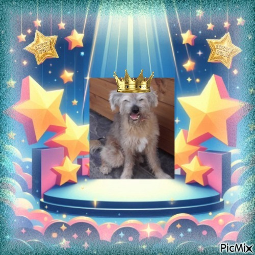 Freddy of the Shahorik family