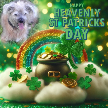 Freddy of the Shahorik family