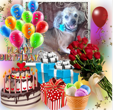 Freddy of the Shahorik family