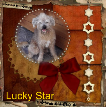 Freddy of the Shahorik family