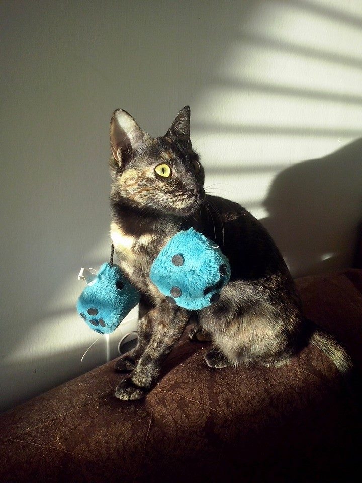 Shahorik uploaded   10 year/s ago