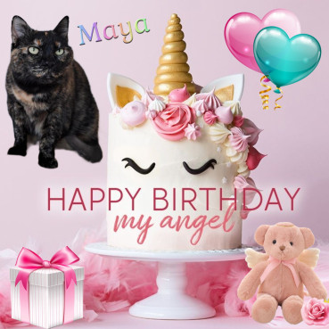 Shahorik uploaded   43  day/s  ago