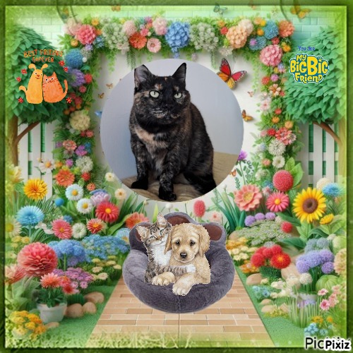 Maya of the Shahorik family