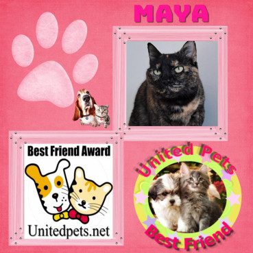 Maya of the Shahorik family