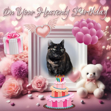 Shahorik uploaded   43  day/s  ago