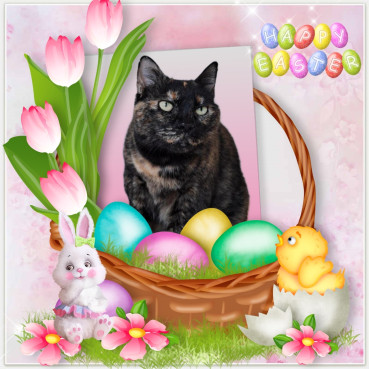 Shahorik uploaded   7  day/s  ago