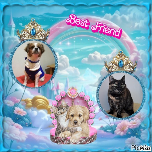 Maya of the Shahorik family