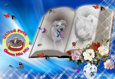 Jessy of the Shahorik family