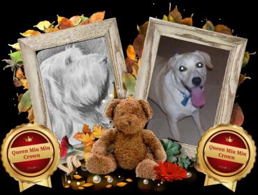 Jessy of the Shahorik family