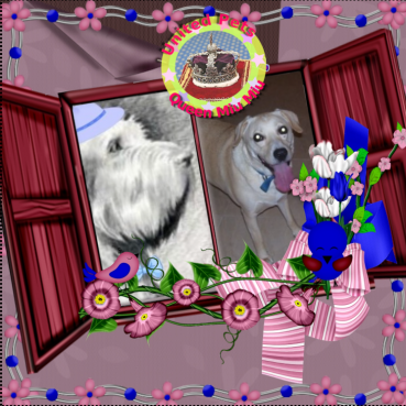 Jessy of the Shahorik family