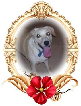 Jessy of the Shahorik family