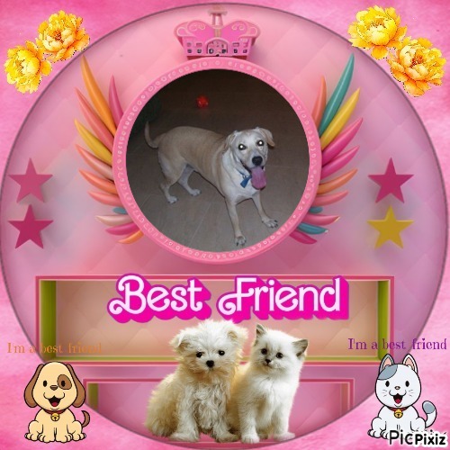 Jessy of the Shahorik family